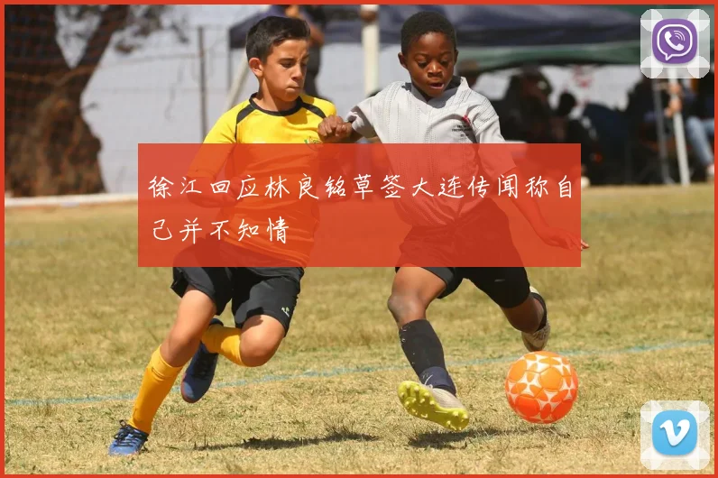 徐江回应林良铭草签大连传闻称自己并不知情